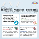 Prebiotics + Probiotics + Postbiotics (3-in-1 formula for Gut Health, Bloat Support and Immune Support) 30 vegetarian capsules