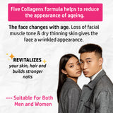 Five Collagens 90's