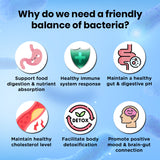 Prebiotics + Probiotics + Postbiotics (3-in-1 formula for Gut Health, Bloat Support and Immune Support) 30 vegetarian capsules