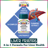 Liver Friends 40's