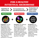 Prebiotics + Probiotics + Postbiotics (3-in-1 formula for Gut Health, Bloat Support and Immune Support) 30 vegetarian capsules