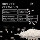 Young-A-Skin 30 Sachets (Rice Cell Ceramides + Cod Skin Collagen Peptides)
