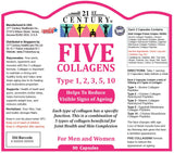 Five Collagens 90's