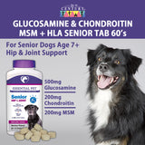 Pet - Glucosamine & Chondroitin MSM + HLA Senior Tab 60's (Veterinarian Formulated)